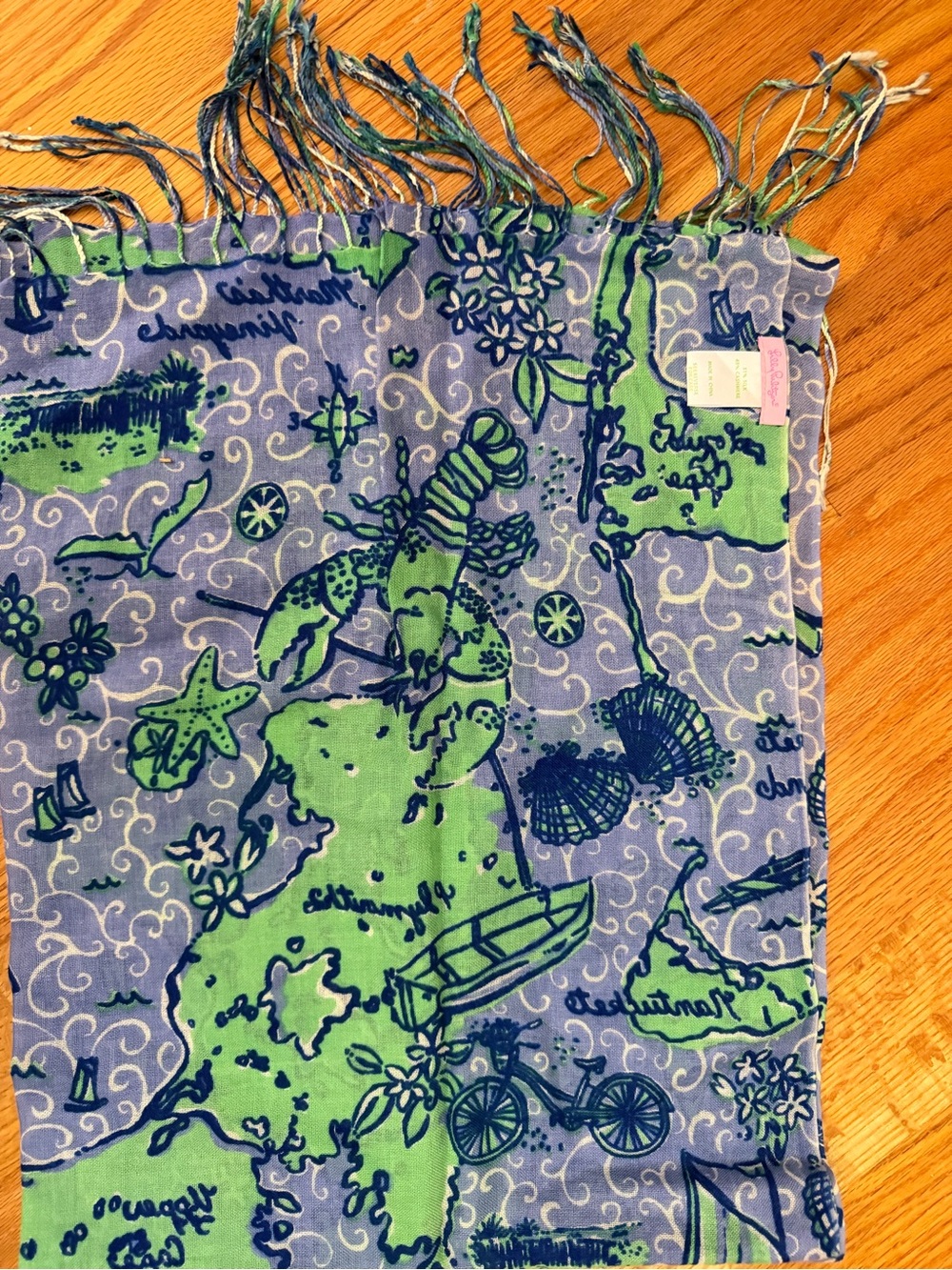 Lily Pulitzer Nantucket Blue & Green Printed Scarf
